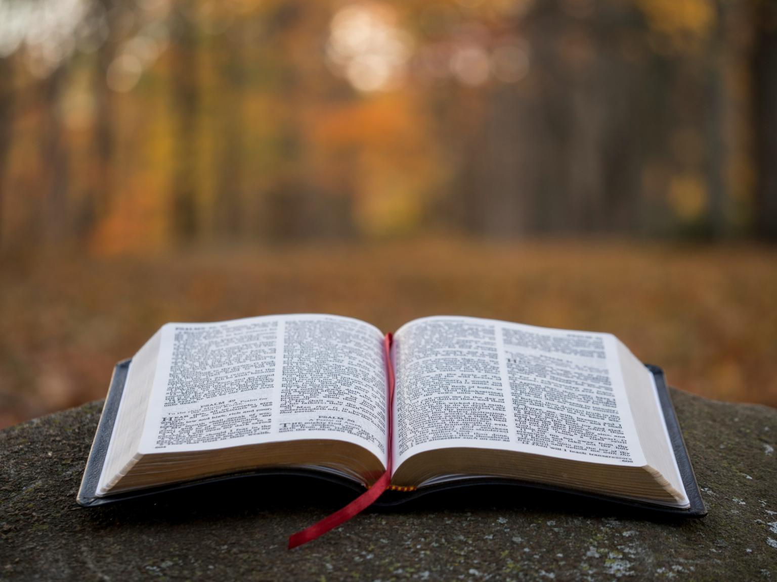 Bibel (c) Foto von Aaron Burden auf Unsplash