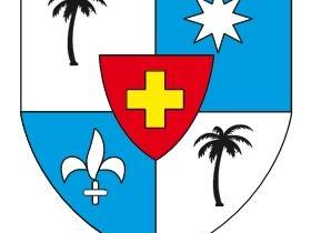 Wappen der Diözese Palmira