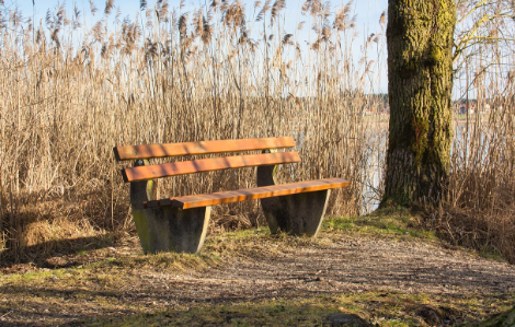 Bank in der Natur - Quelle HMC (c) H. Michiels-Corsten