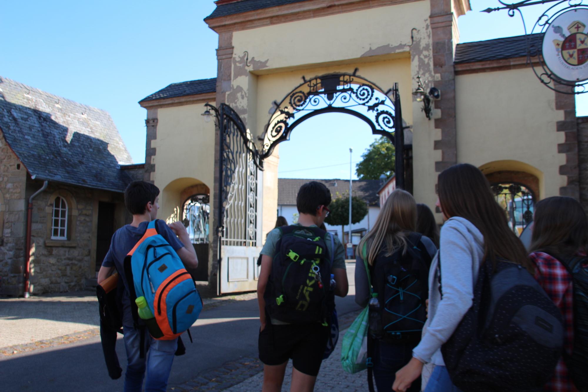 Rund 700 Schülerinnen und Schüler besuchen das Gymnasium in Steinfeld.