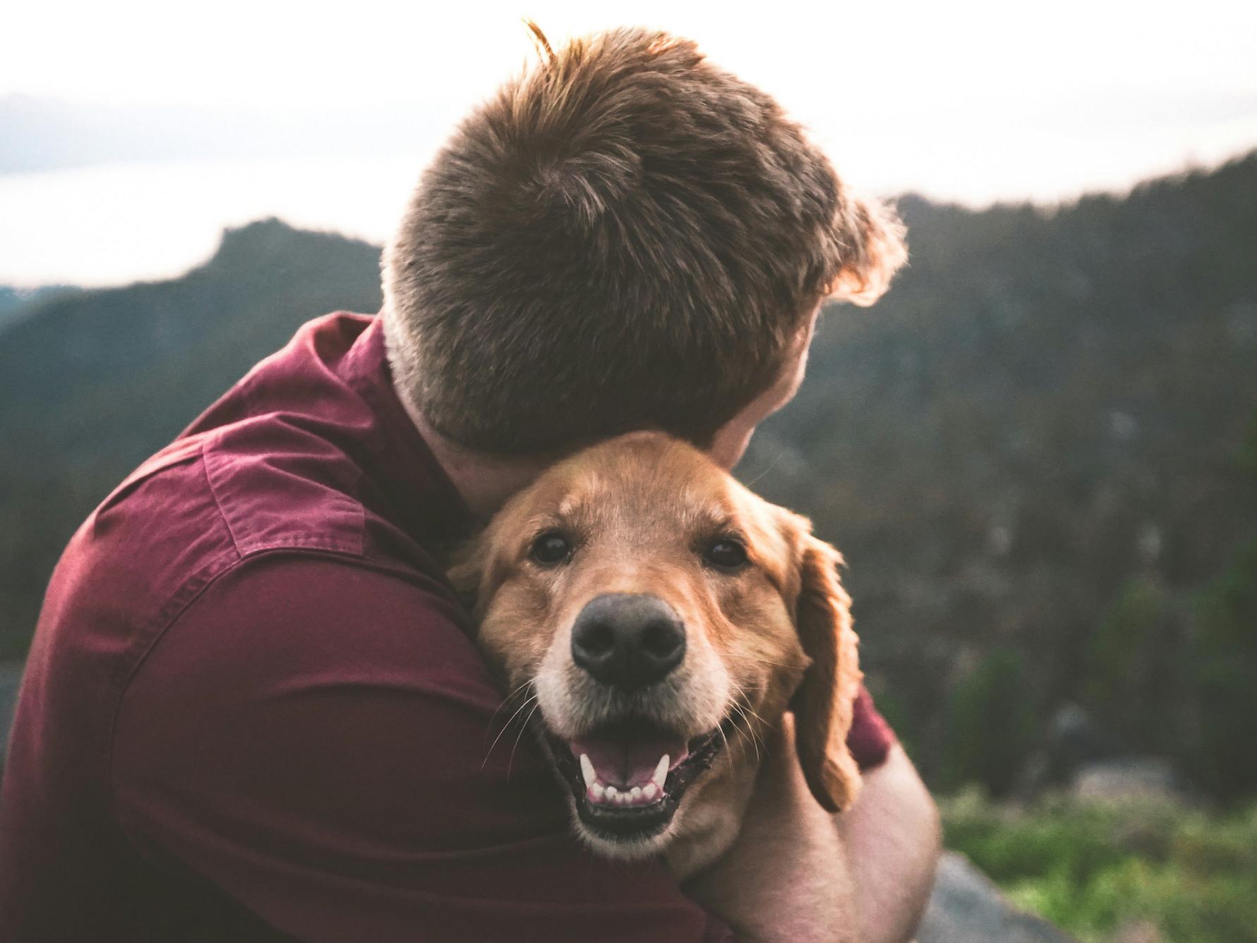 Eine universale Familie? (c) Eric Ward/unsplash.com