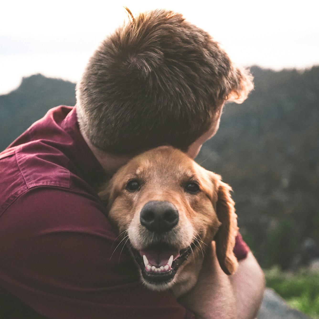 Der Hund als der treue Begleiter des Menschen. Das ist seit etwa 20 000 Jahren so.